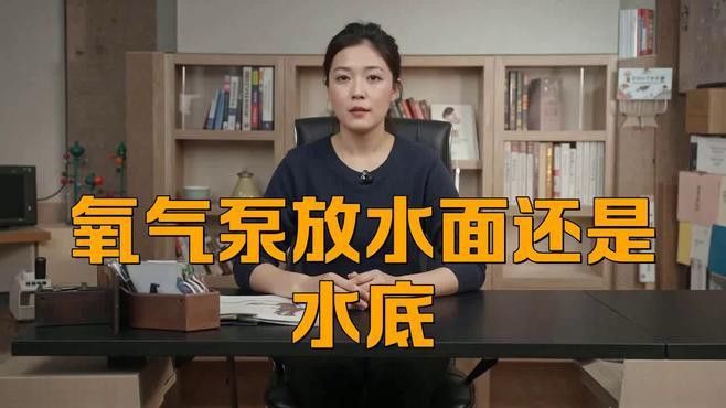 六角龍打氧泵應(yīng)該放在什么位置
