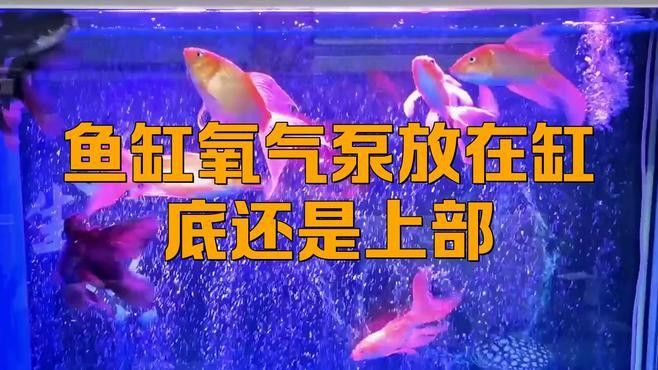 六角龍打氧泵應(yīng)該放在什么位置