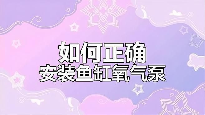 六角龍打氧泵應(yīng)該放在什么位置