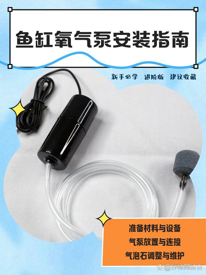 六角龍打氧泵應(yīng)該放在什么位置