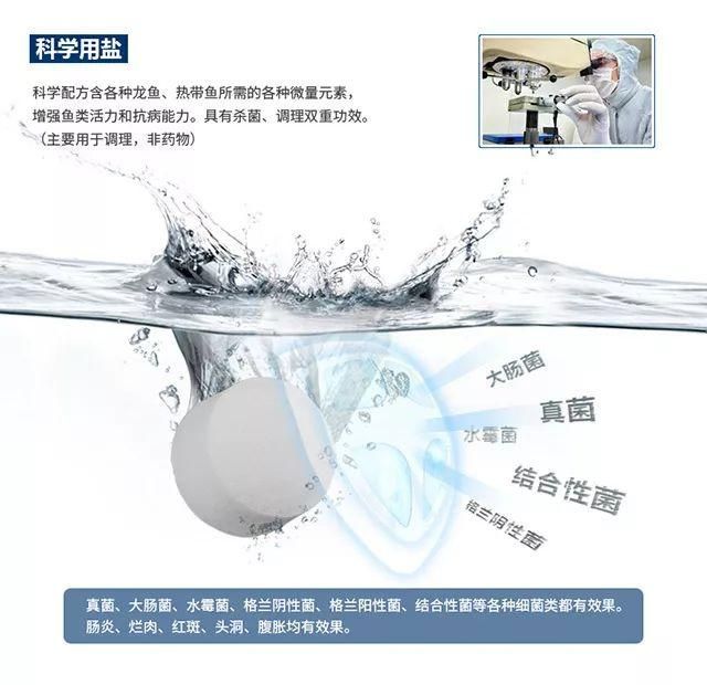 龍魚鹽浴需要幾度(龍魚鹽浴的適宜水溫之前需要明確一點:龍魚鹽浴需要幾度) 龍魚百科 第3張 龍魚鹽浴需要幾度(龍魚鹽浴的適宜水溫之前需要明確一點:龍魚鹽浴需要幾度) 龍魚鹽浴需要幾度(龍魚鹽浴的適宜水溫之前需要明確一點:龍魚鹽浴需要幾度) 龍魚百科 第3張