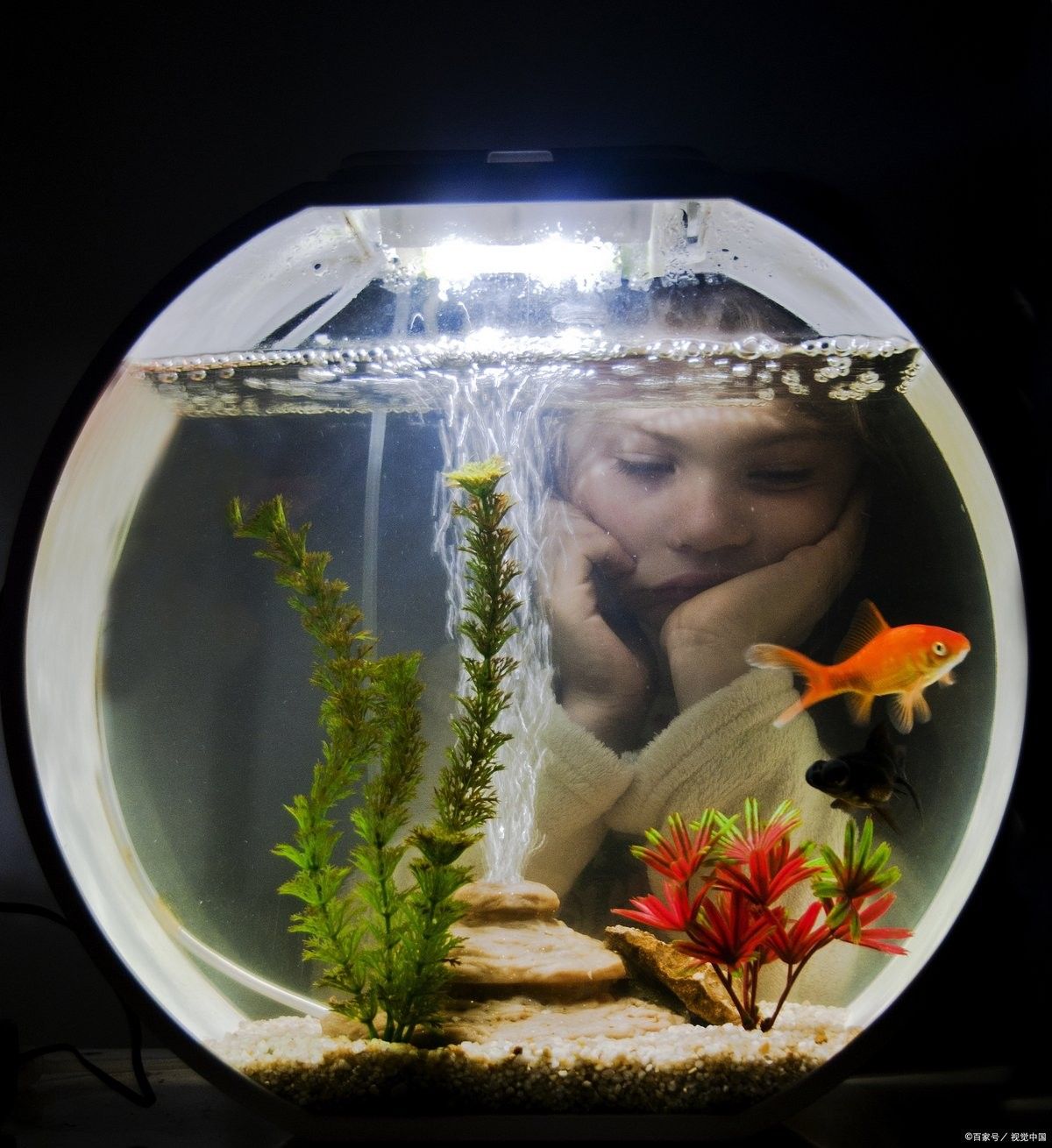 龍魚換水時需要加入多少鹽？ 龍魚換水時需要加入多少鹽？ 龍魚百科 第4張