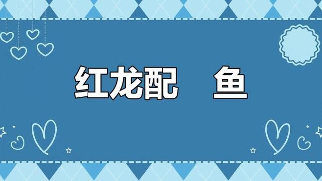 和紅龍魚混養的有哪些魚類圖片大全 和紅龍魚混養的有哪些魚類圖片大全 龍魚百科 第27張