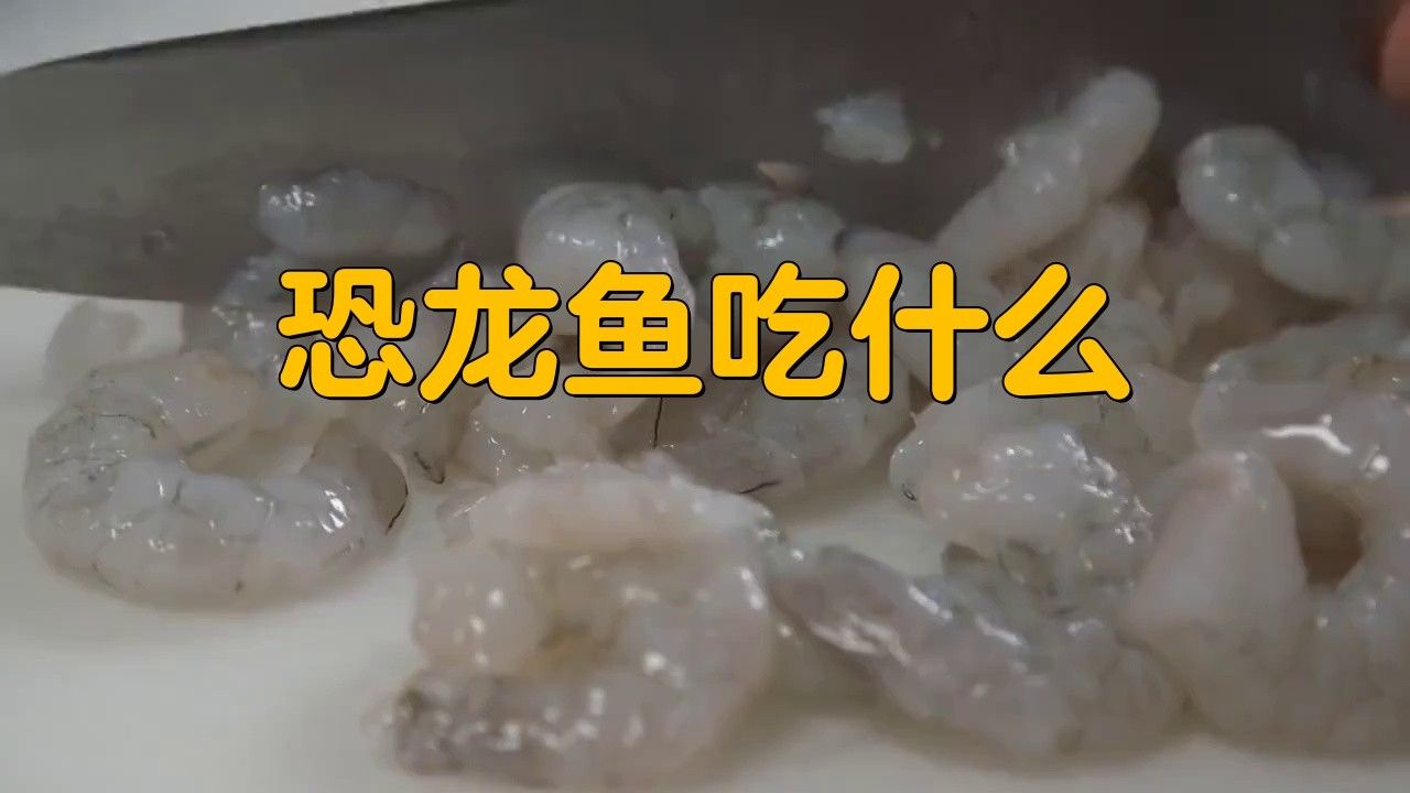 恐龍魚喜歡吃什么食物和水果和蔬菜 恐龍魚喜歡吃什么食物和水果和蔬菜 龍魚百科 第1張