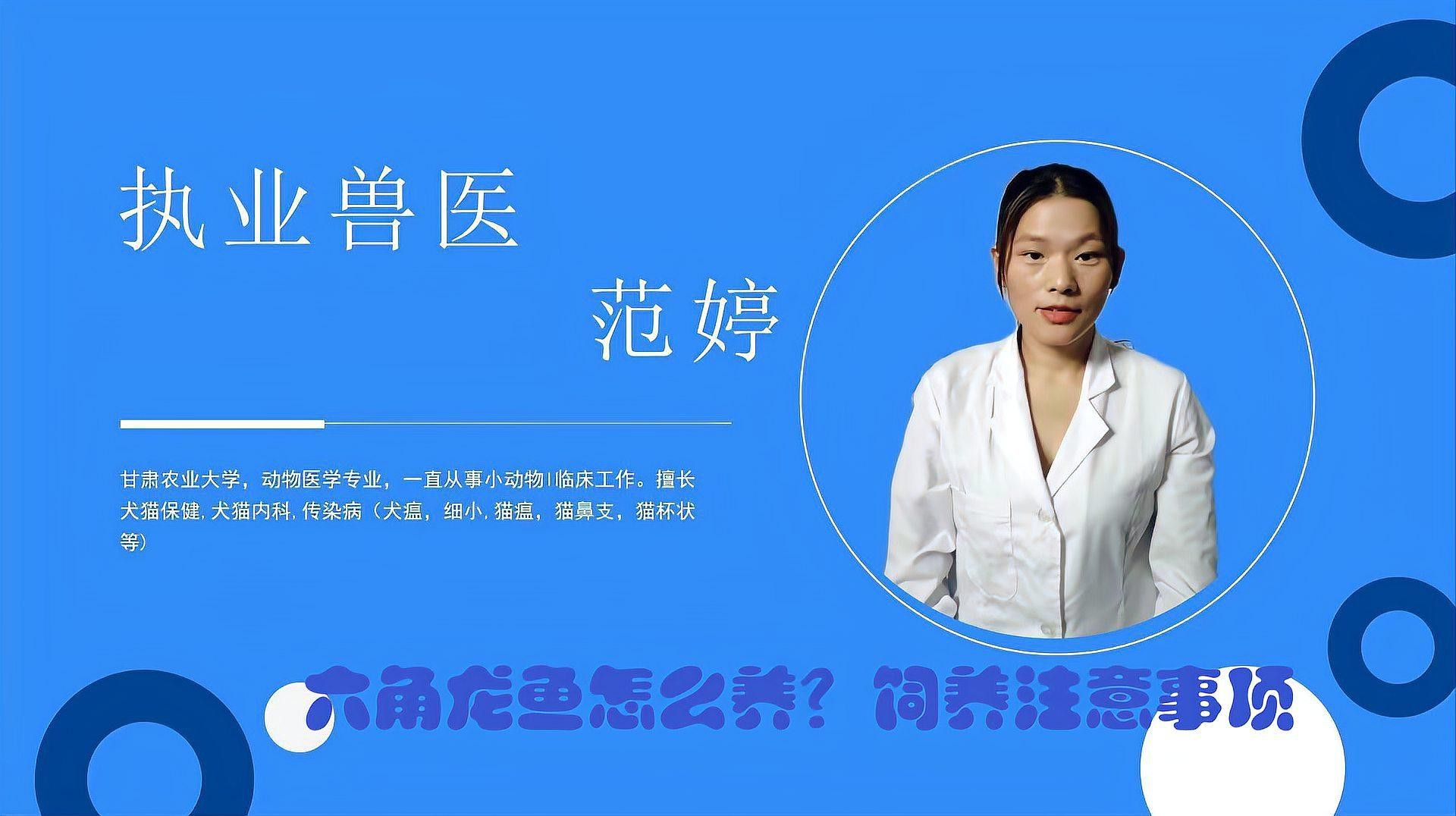 六角龍魚好不好養活