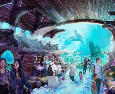 龍魚和黑魚那個有刺嗎：龍魚刺與黑魚刺的區別