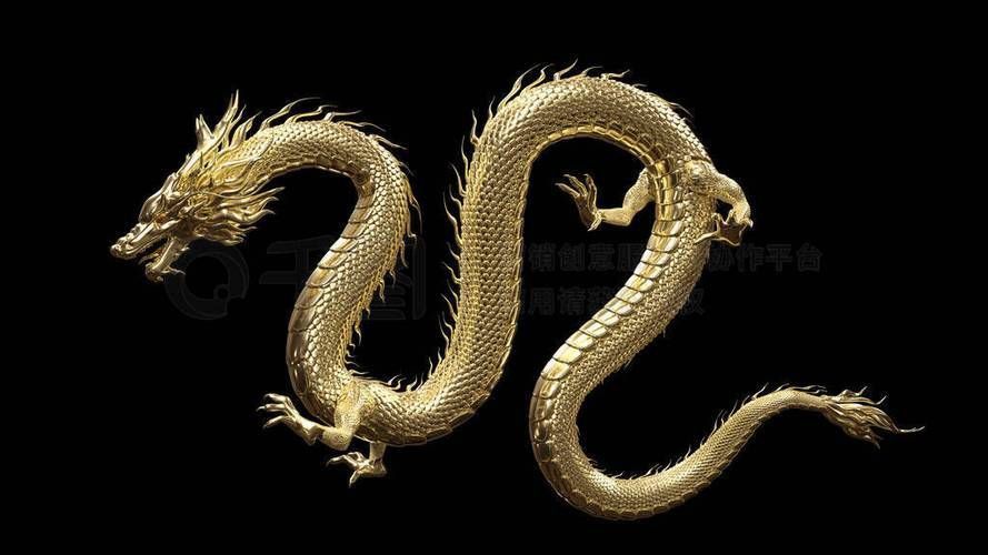 黃金龍圖片 黃金龍圖片 龍魚百科 第12張