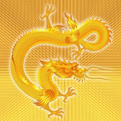 黃金龍圖片 黃金龍圖片 龍魚百科 第14張