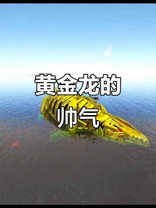 黃金龍圖片 黃金龍圖片 龍魚百科 第27張