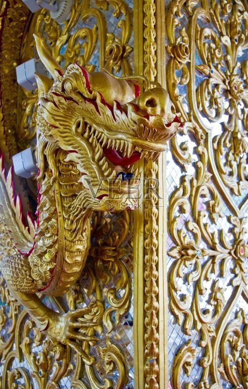 黃金龍圖片 黃金龍圖片 龍魚百科 第25張