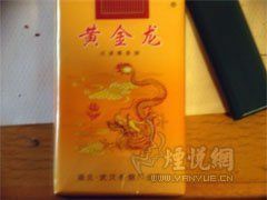 黃金龍圖片 黃金龍圖片 龍魚百科 第28張
