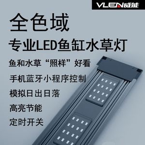 世界上最大的金龍魚擺件是什么品種：世界上最大的金龍魚擺件，藝術(shù)與風(fēng)水的完美結(jié)合 世界上最大的金龍魚擺件是什么品種：世界上最大的金龍魚擺件，藝術(shù)與風(fēng)水的完美結(jié)合 龍魚百科 第2張