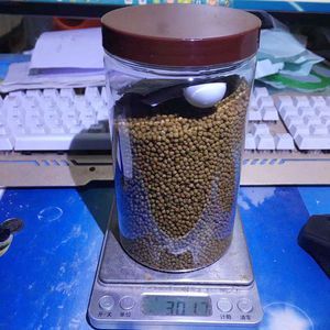 雷龍魚會吃錦鯉嗎為什么：如何預防雷龍魚攻擊錦鯉