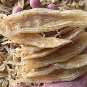 小金龍魚膠有須沒須區(qū)別（小金龍魚膠有須和沒須和沒須的區(qū)別主要體現(xiàn)在以下幾個(gè)方面） 小金龍魚膠有須沒須區(qū)別（小金龍魚膠有須和沒須和沒須的區(qū)別主要體現(xiàn)在以下幾個(gè)方面） 龍魚百科 第3張