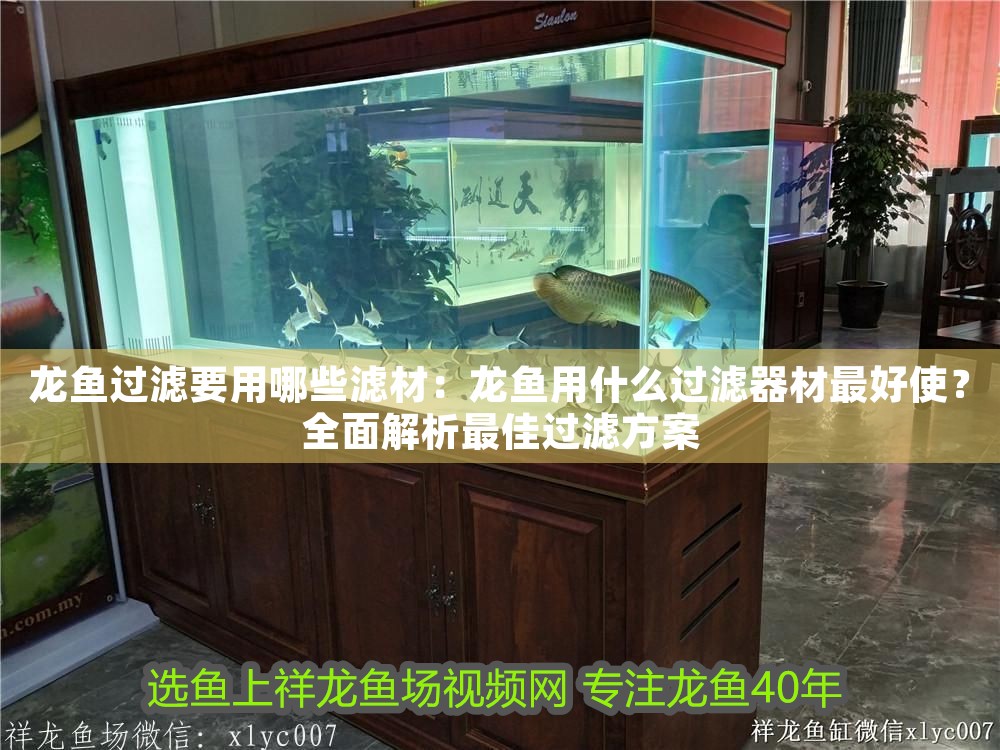 龍魚過濾要用哪些濾材：龍魚用什么過濾器材最好使？全面解析最佳過濾方案 龍魚過濾要用哪些濾材：龍魚用什么過濾器材最好使？全面解析最佳過濾方案 龍魚百科 第1張