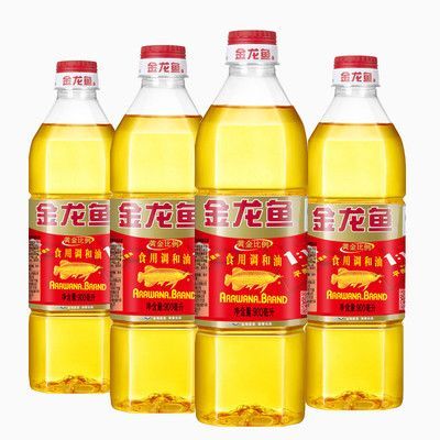 什么金龍魚好（金龍魚選購技巧）