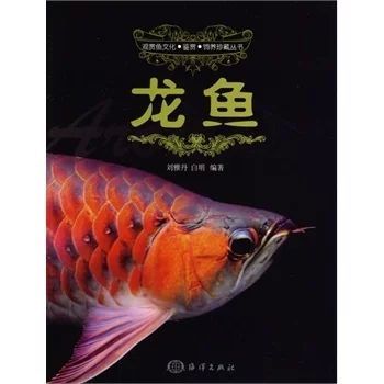 龍魚的品牌有哪些種類：龍魚品牌有哪些種類