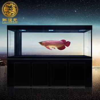 龍魚的品牌有哪些種類：龍魚品牌有哪些種類