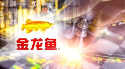 金龍魚需要24小時開燈嗎：金龍魚是否需要24小時開燈？