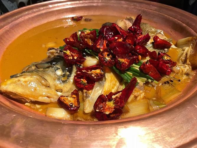 十堰龍魚專賣店 十堰龍魚專賣店 龍魚百科 第1張