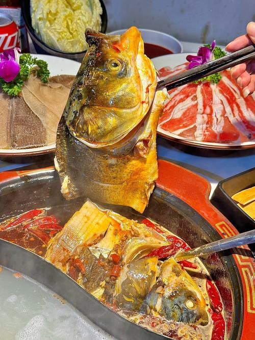 十堰龍魚專賣店 十堰龍魚專賣店 龍魚百科 第2張