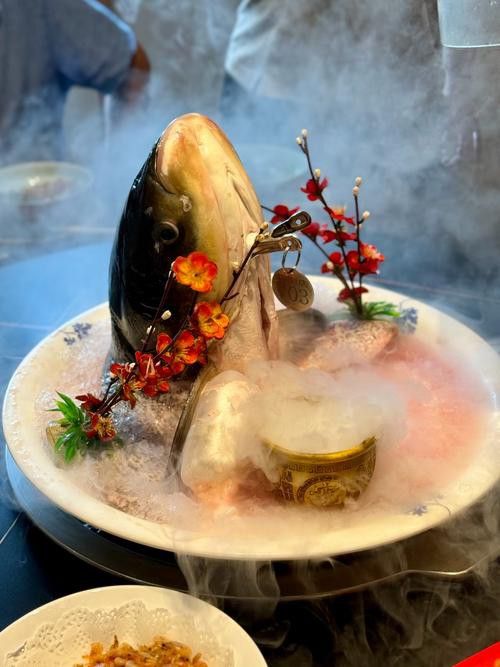 十堰龍魚專賣店 十堰龍魚專賣店 龍魚百科 第4張
