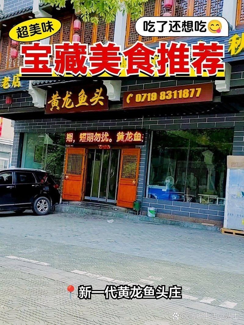 十堰龍魚專賣店 十堰龍魚專賣店 龍魚百科 第7張