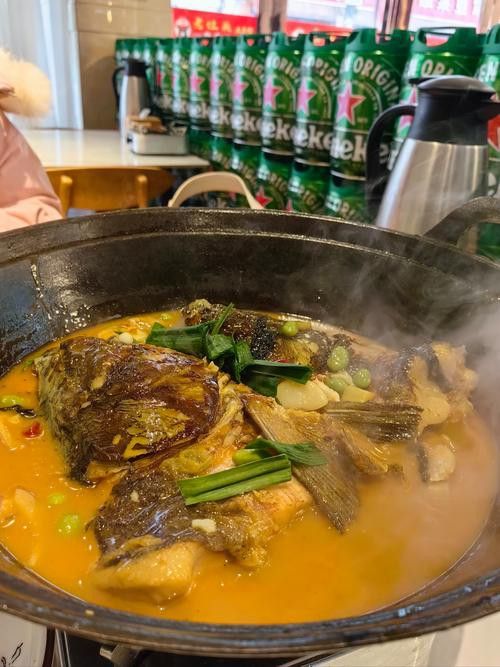 十堰龍魚專賣店 十堰龍魚專賣店 龍魚百科 第5張