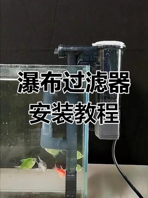 龍魚缸過濾器多久清洗一次 龍魚缸過濾器多久清洗一次 龍魚百科 第5張