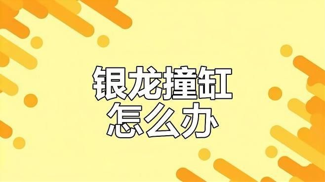 銀龍魚神經(jīng)質(zhì)撞缸
