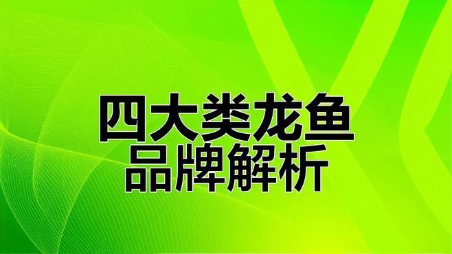 北京龍魚品牌怎么樣