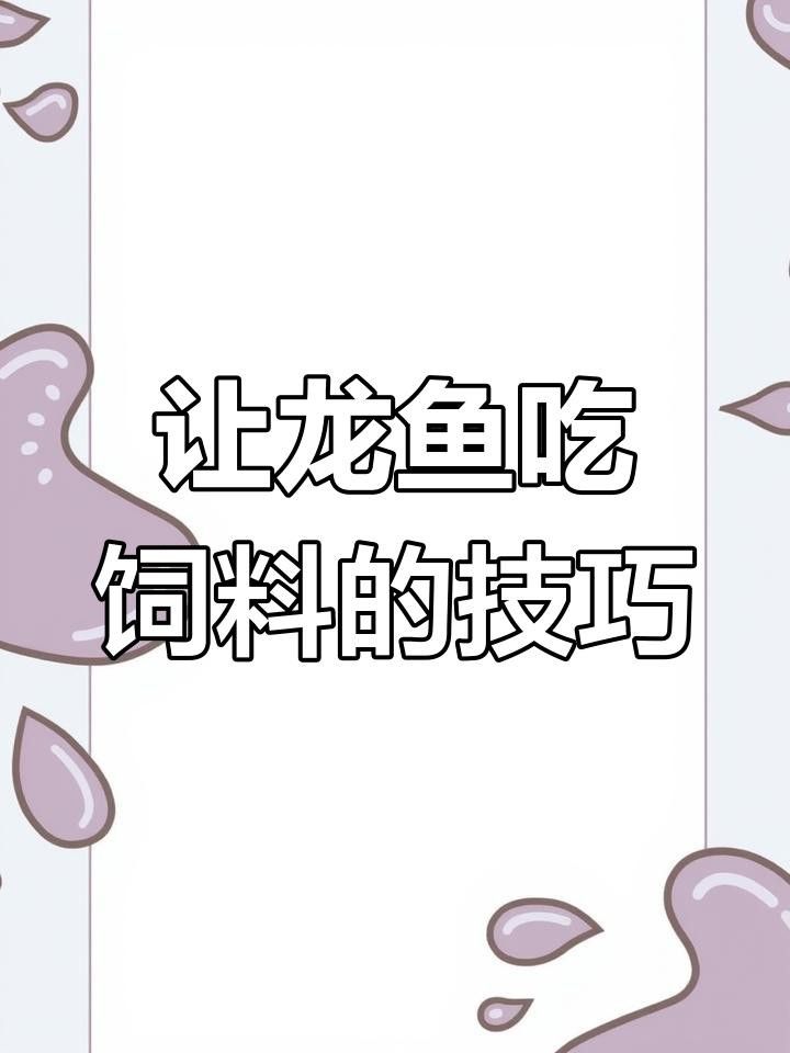 銀龍魚不吃食怎么辦？ 銀龍魚不吃食怎么辦？ 龍魚百科 第4張