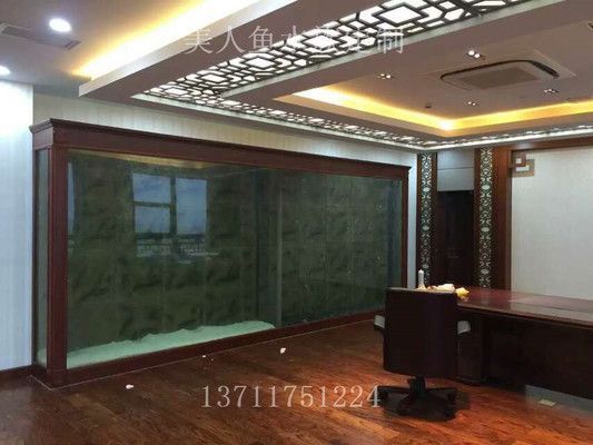 龍魚缸里適合養的植物是什么（哪些植物適合養在魚缸里？）