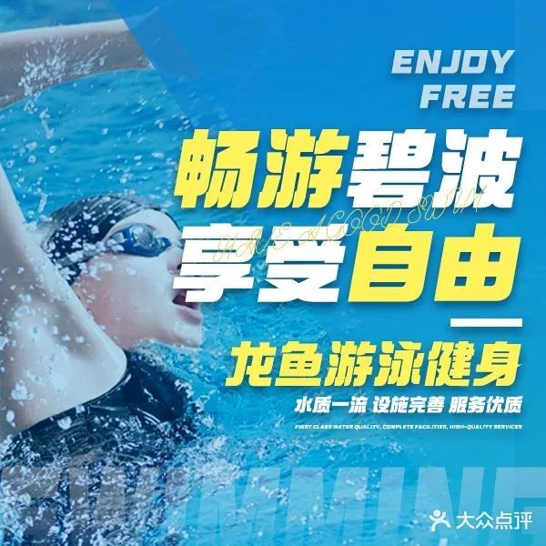 龍魚哪里好看好養