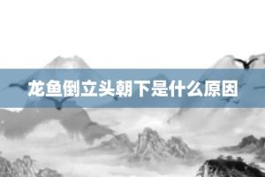 龍魚頭朝上尾朝下：如何處理龍魚頭朝上尾朝下的問題