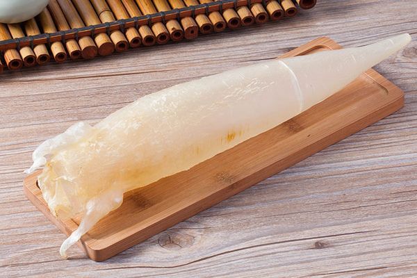 金龍魚膠怎么樣：金龍魚膠的正確保存方法