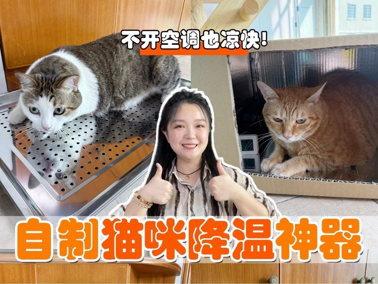如何預防六角恐龍中暑？ 如何預防六角恐龍中暑？ 龍魚百科 第7張