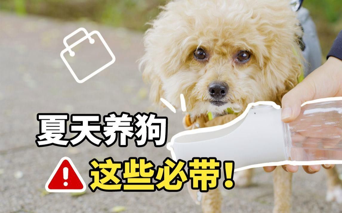 如何預防六角恐龍中暑？ 如何預防六角恐龍中暑？ 龍魚百科 第8張