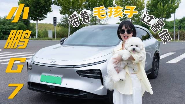 如何預防六角恐龍中暑？ 如何預防六角恐龍中暑？ 龍魚百科 第12張