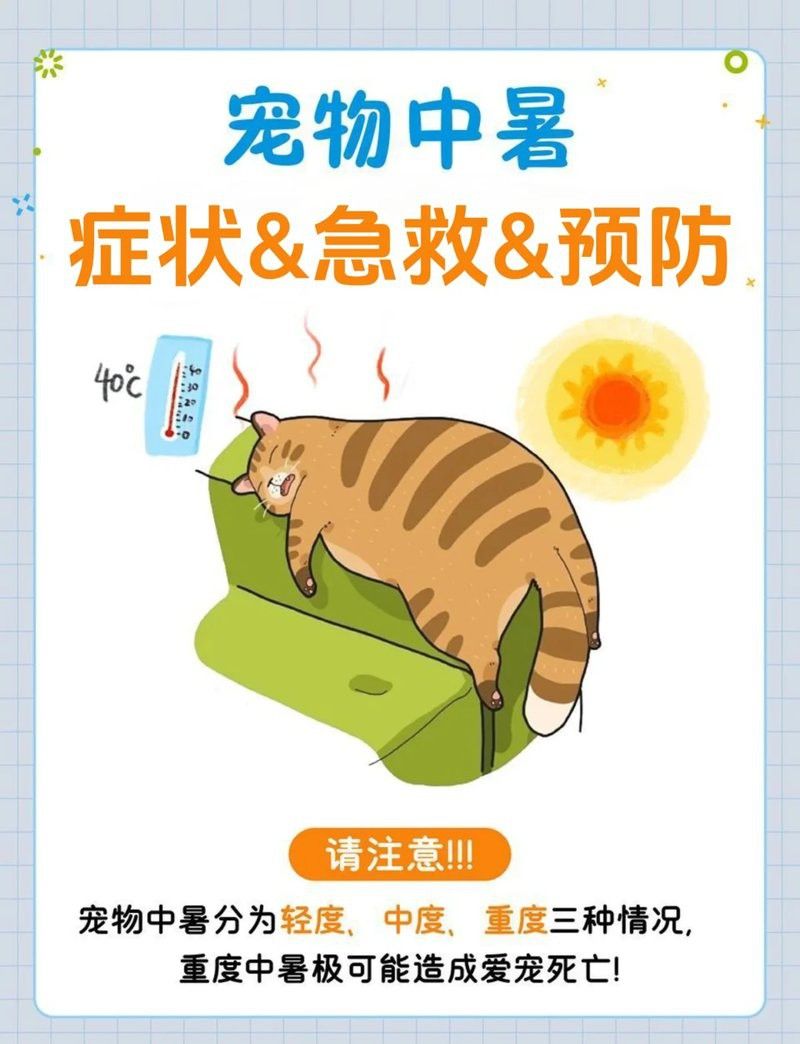 如何預防六角恐龍中暑？ 如何預防六角恐龍中暑？ 龍魚百科 第15張