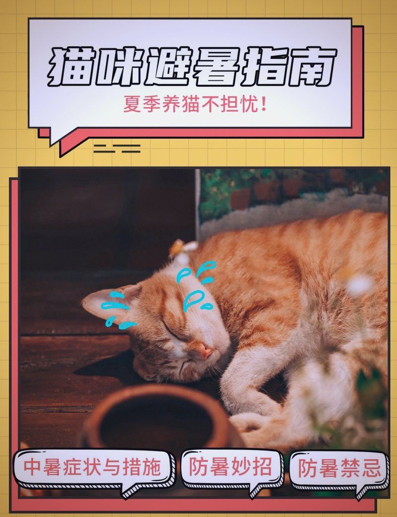 如何預防六角恐龍中暑？ 如何預防六角恐龍中暑？ 龍魚百科 第13張