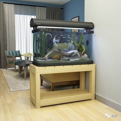 龍魚飼養(yǎng)溫度范圍：龍魚的飼養(yǎng)溫度是非常關(guān)鍵的，合適的水溫可以保證龍魚健康和生長