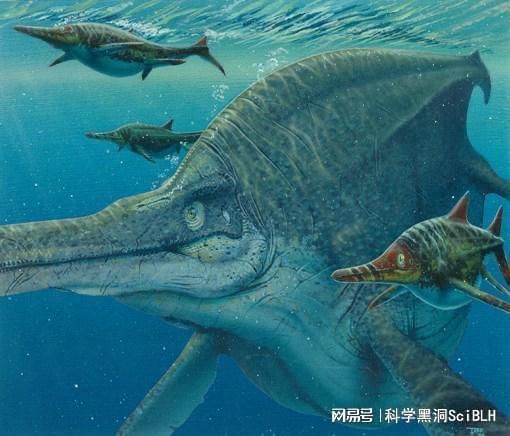 世界上最小的魚(yú)龍種類(lèi)之一，體長(zhǎng)不到1米，體長(zhǎng)不到1米多：世界上最小的魚(yú)龍是指澳洲星點(diǎn)龍嗎？