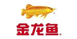 龍魚的飼養環境:龍魚養殖技術——龍魚飼養 龍魚百科 第5張 龍魚的飼養環境:龍魚養殖技術——龍魚飼養 龍魚的飼養環境:龍魚養殖技術——龍魚飼養 龍魚百科 第5張