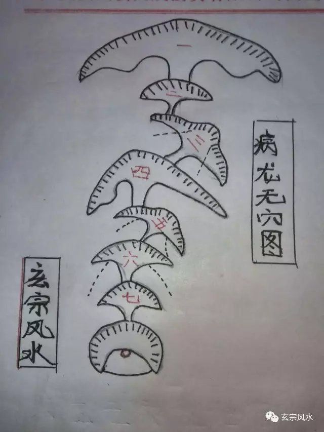 風水病龍詳解 風水病龍詳解 龍魚百科 第3張