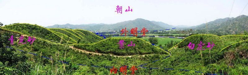 風水病龍詳解 風水病龍詳解 龍魚百科 第1張