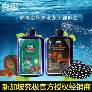 國內龍魚經銷商有哪些名字和地址呢（國內龍魚經銷商名單）