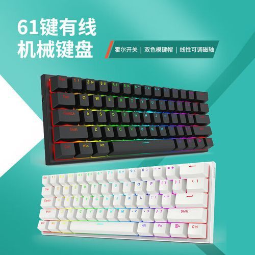 紅龍魚30公分用什么燈