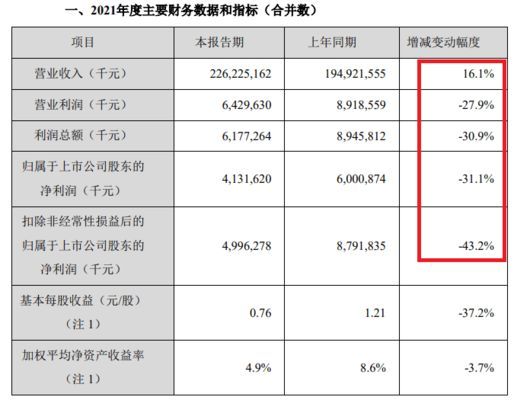 金龍魚為什么不漲