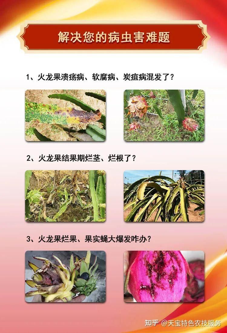 如何預防小火龍脫水？ 如何預防小火龍脫水？ 龍魚百科 第1張